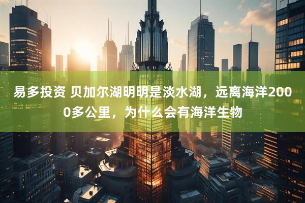 易多投资 贝加尔湖明明是淡水湖，远离海洋2000多公里，为什么会有海洋生物