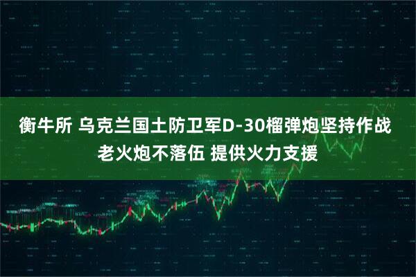 衡牛所 乌克兰国土防卫军D-30榴弹炮坚持作战 老火炮不落伍 提供火力支援