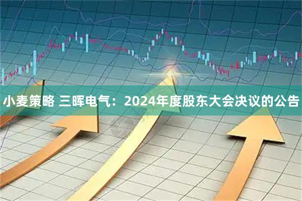 小麦策略 三晖电气：2024年度股东大会决议的公告