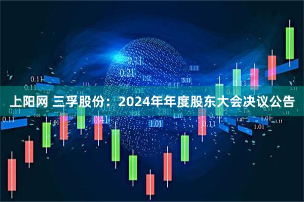 上阳网 三孚股份：2024年年度股东大会决议公告