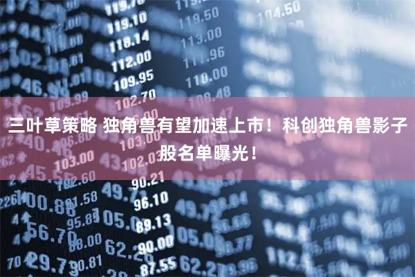 三叶草策略 独角兽有望加速上市！科创独角兽影子股名单曝光！