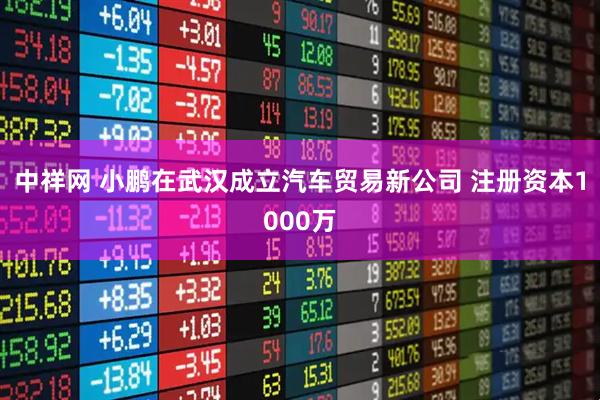 中祥网 小鹏在武汉成立汽车贸易新公司 注册资本1000万
