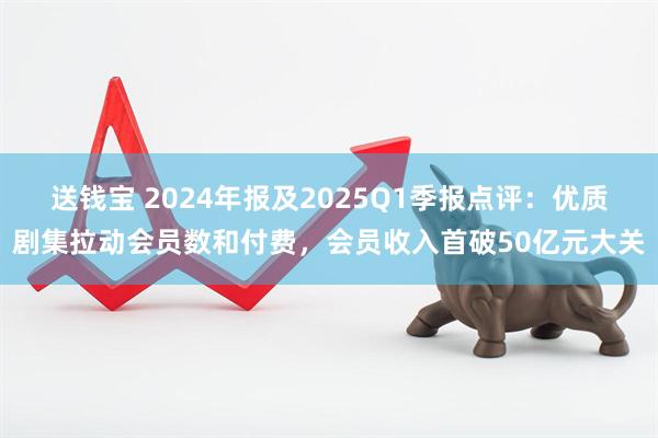 送钱宝 2024年报及2025Q1季报点评：优质剧集拉动会员数和付费，会员收入首破50亿元大关