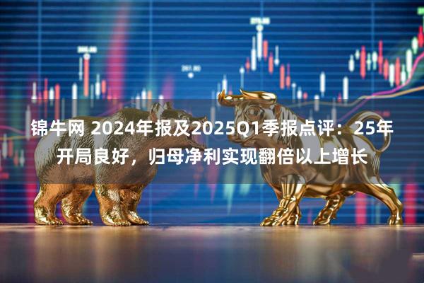 锦牛网 2024年报及2025Q1季报点评：25年开局良好，归母净利实现翻倍以上增长