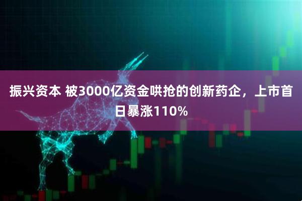振兴资本 被3000亿资金哄抢的创新药企，上市首日暴涨110%