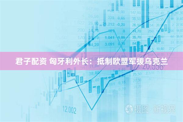 君子配资 匈牙利外长：抵制欧盟军援乌克兰