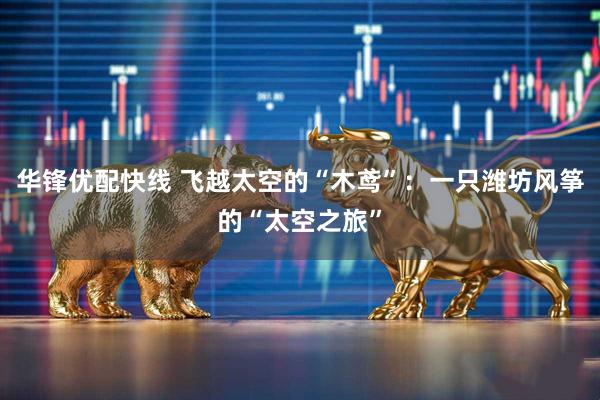 华锋优配快线 飞越太空的“木鸢”：一只潍坊风筝的“太空之旅”