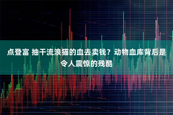 点登富 抽干流浪猫的血去卖钱？动物血库背后是令人震惊的残酷