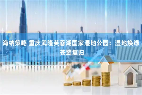 海纳策略 重庆武隆芙蓉湖国家湿地公园:湿地焕绿 苍鹭复归