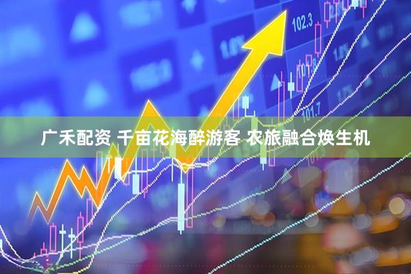广禾配资 千亩花海醉游客 农旅融合焕生机