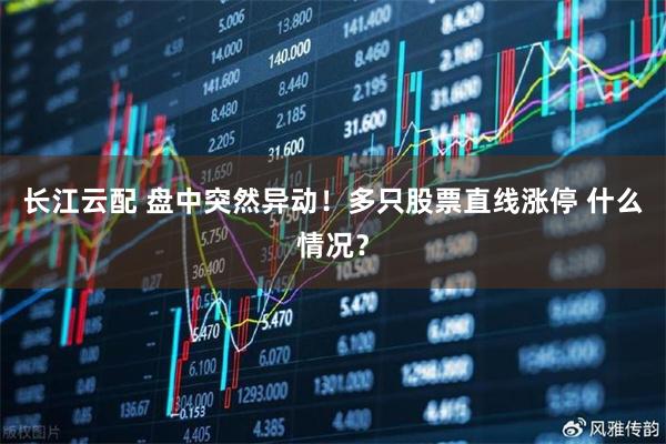长江云配 盘中突然异动！多只股票直线涨停 什么情况？